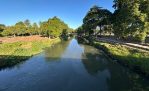 Venezuela: el río Manzanares a la vista y las plantas de las Plazas Públicas de Cumaná muriendo de sed