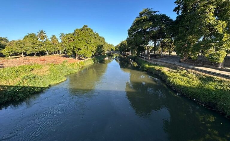 Venezuela: el río Manzanares a la vista y las plantas de las Plazas Públicas de Cumaná muriendo de sed