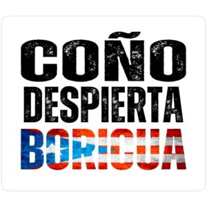 Es Momento De DESPERTAR, Boricuas…